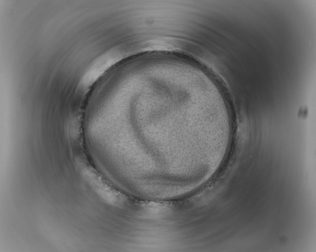 X0000111930874200908241113