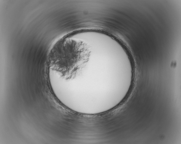 X0000111930875200908241113