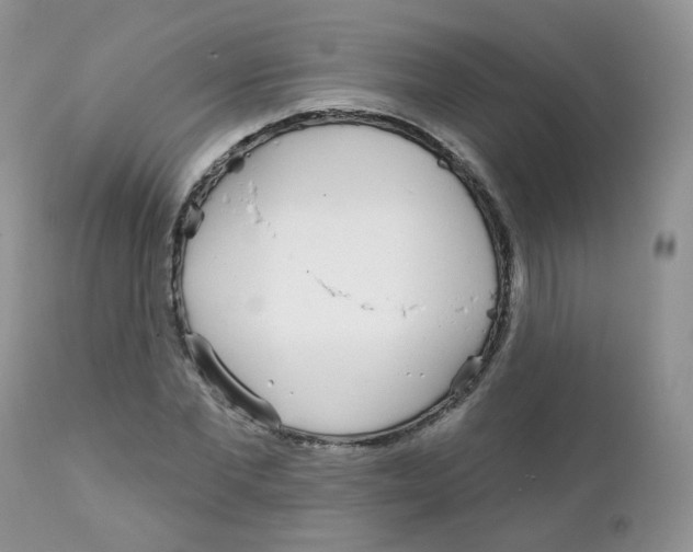 X0000111930877200908241113