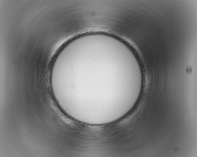 X0000111930878200908241113