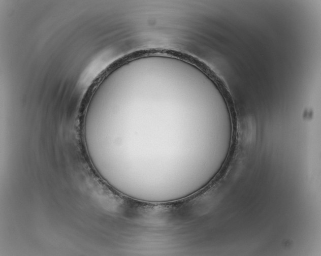 X0000111930879200908241113