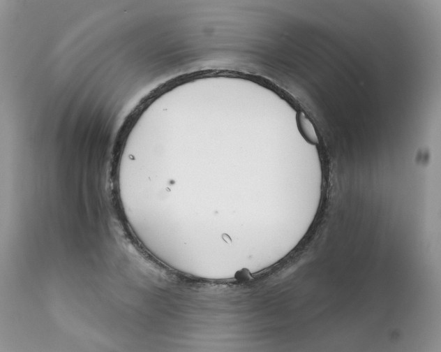 X0000111930880200908241113