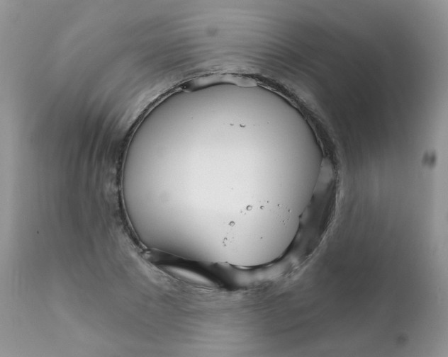 X0000111930881200908241113