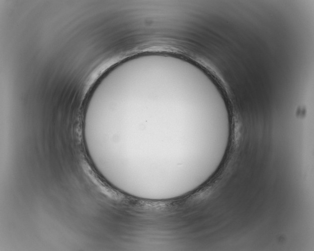 X0000111930882200908241113