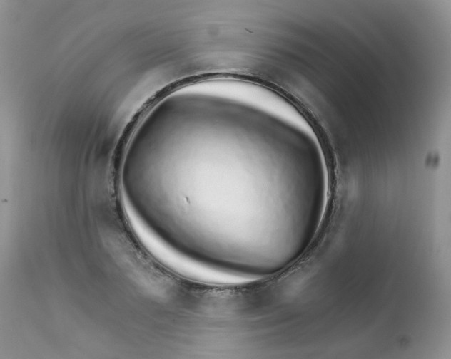 X0000111930883200908241113