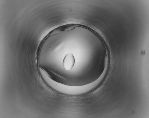 X0000111930885200908241113