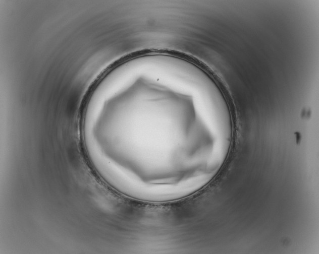 X0000111930887200908241113