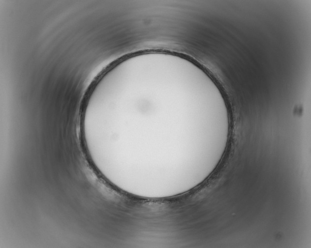 X0000111930888200908241113