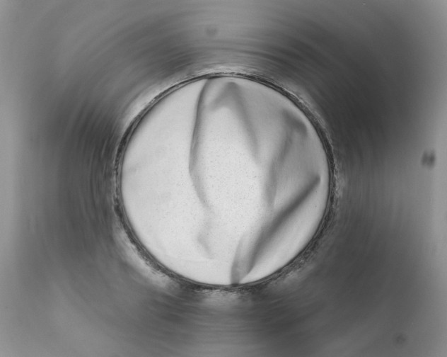 X0000111930890200908241113