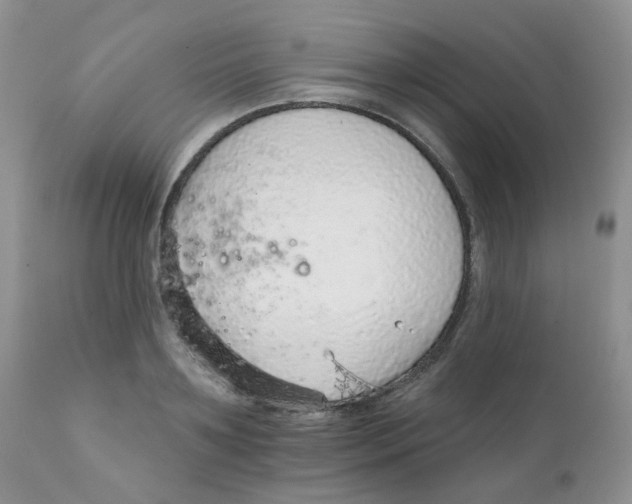 X0000111930891200908241113