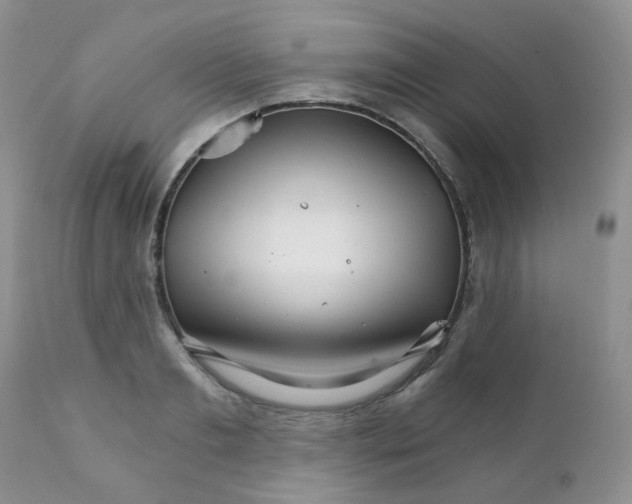 X0000111930893200908241113