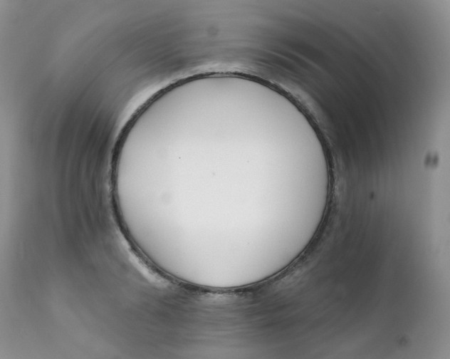 X0000111930894200908241113