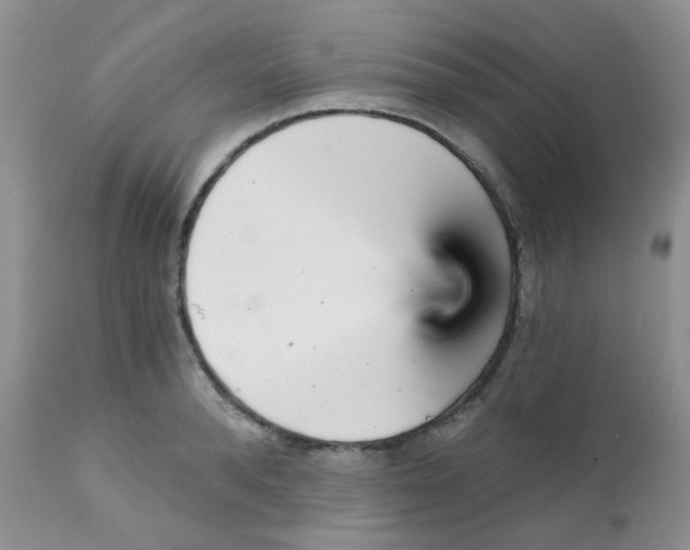 X0000111930896200908241113