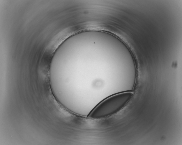 X0000111930897200908241113