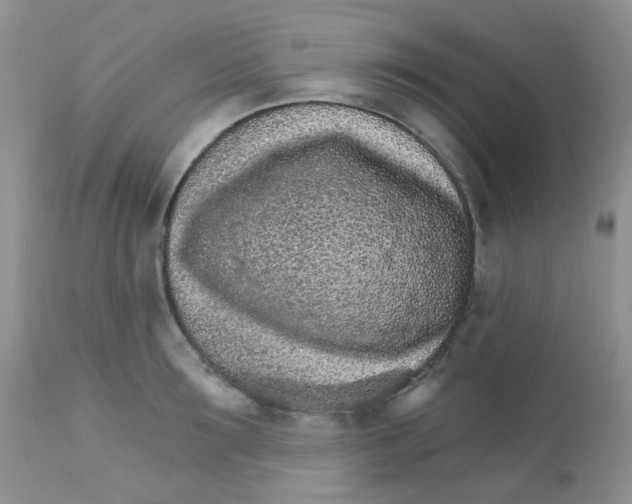 X0000111930899200908241113