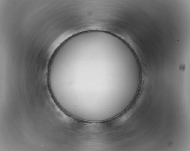 X0000111930902200908241112