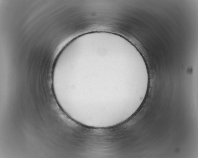 X0000111930904200908241112