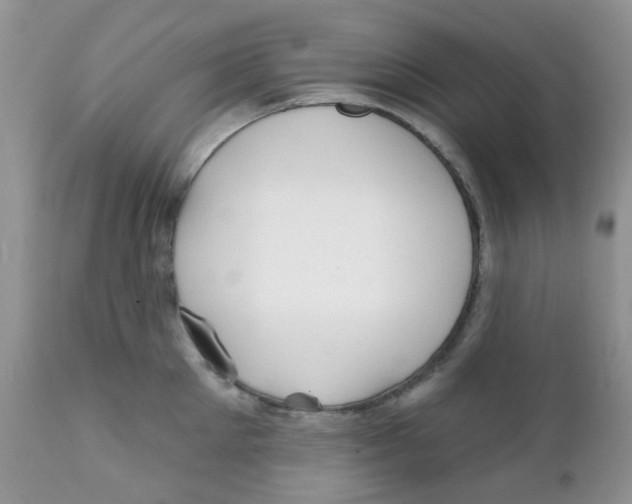 X0000111930905200908241112