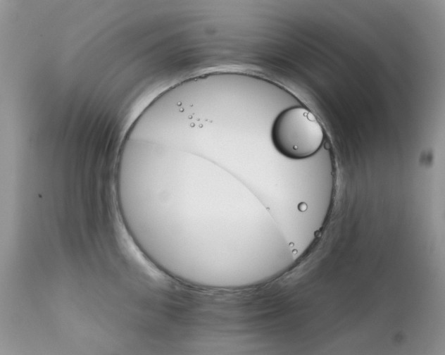 X0000111930906200908241112