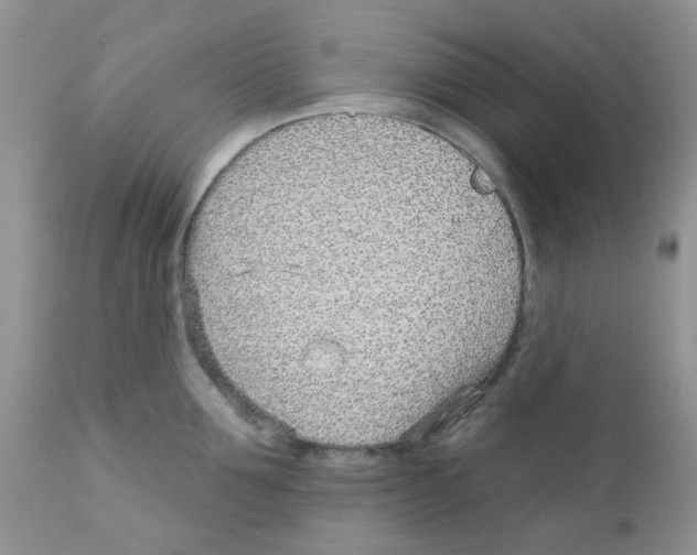 X0000111930907200908241112