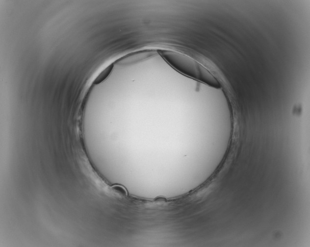 X0000111930908200908241112