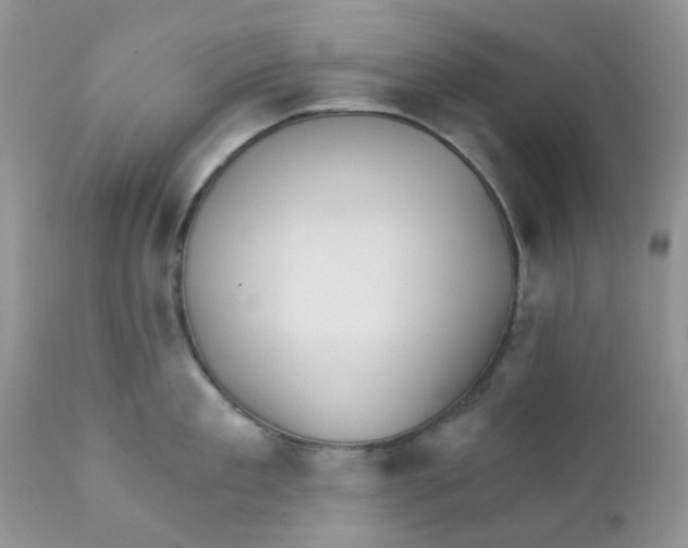 X0000111930909200908241112