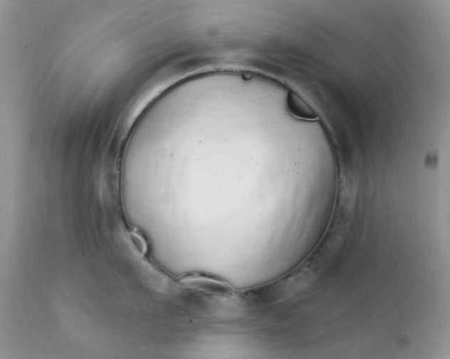 X0000111930911200908241112