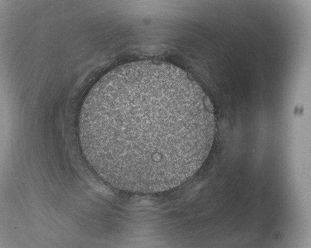 X0000111930913200908241112