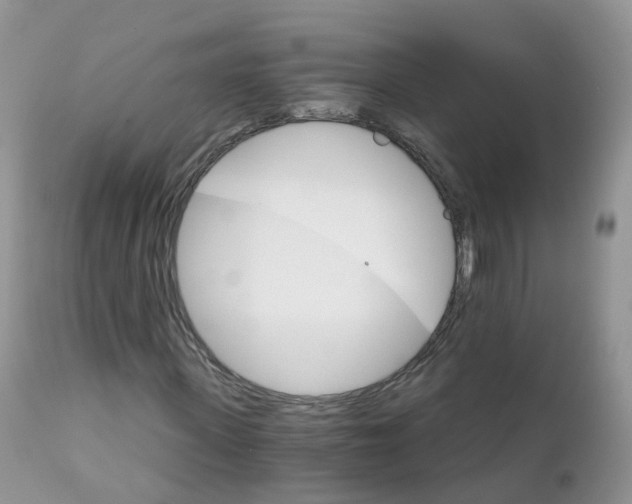 X0000111930915200908241112