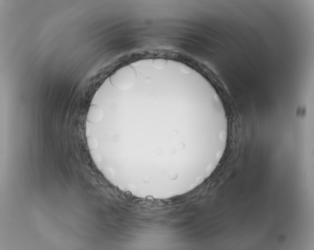 X0000111930919200908241112