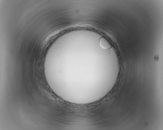 X0000111930920200908241112