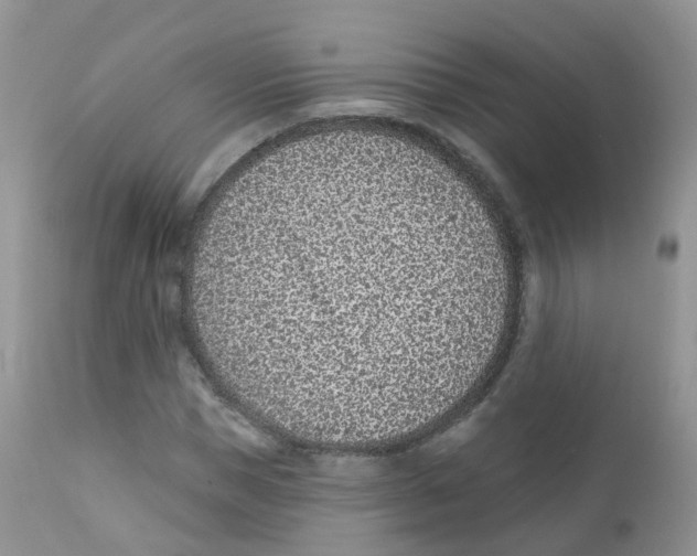 X0000111930921200908241112