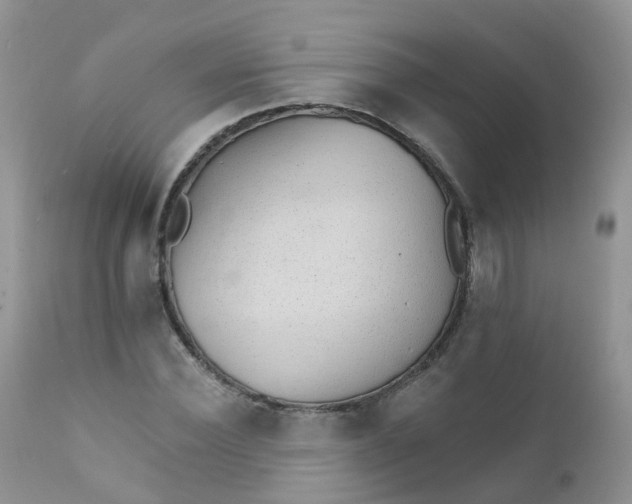 X0000111930924200908241112