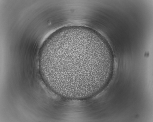 X0000111930925200908241112