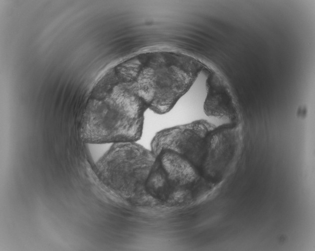 X0000111930929200908241112