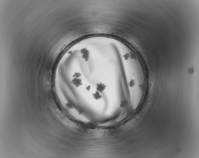 X0000111930930200908241112