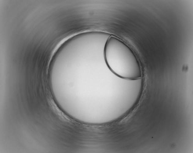 X0000111930932200908241112