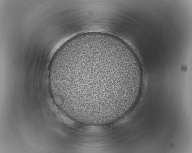 X0000111930933200908241112