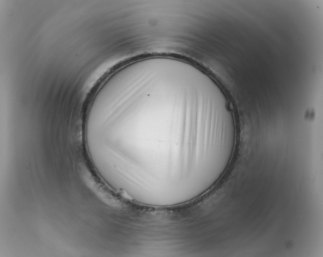 X0000111930934200908241112