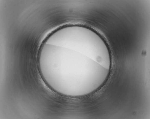 X0000111930935200908241112