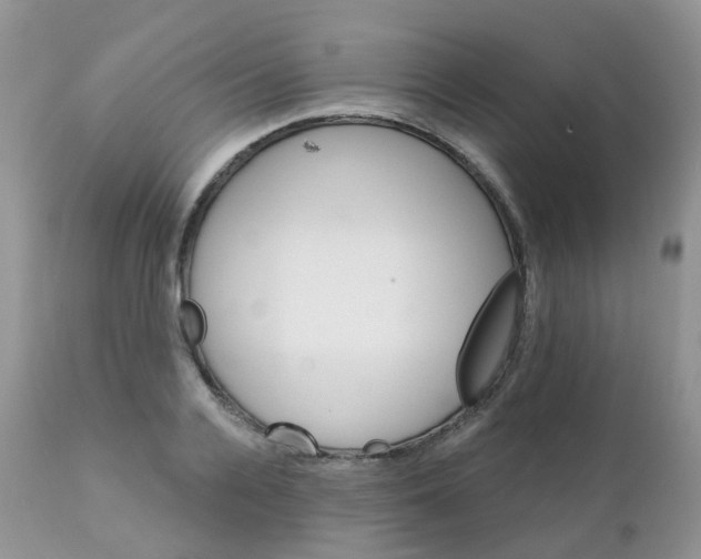 X0000111930936200908241112