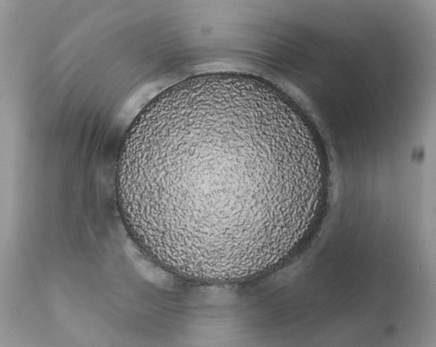 X0000111930937200908241112