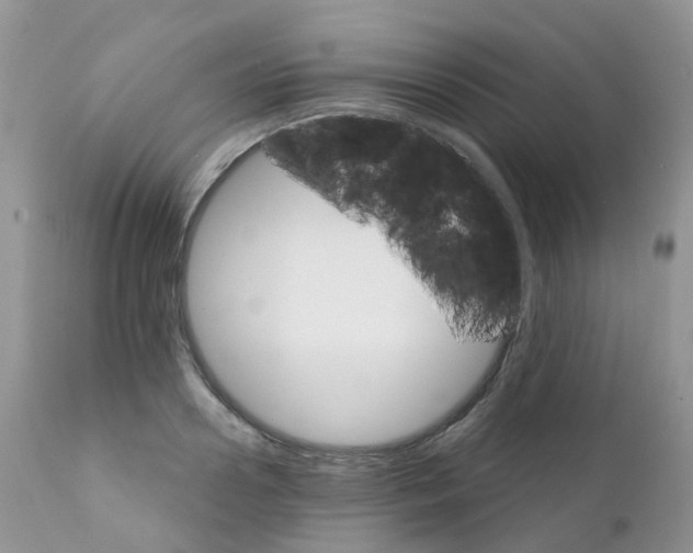 X0000111930938200908241112