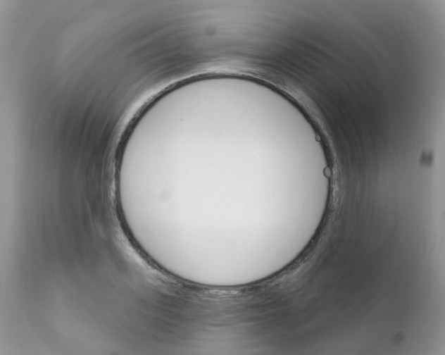 X0000111930939200908241112