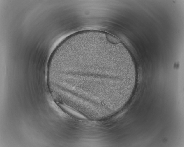 X0000111930940200908241112