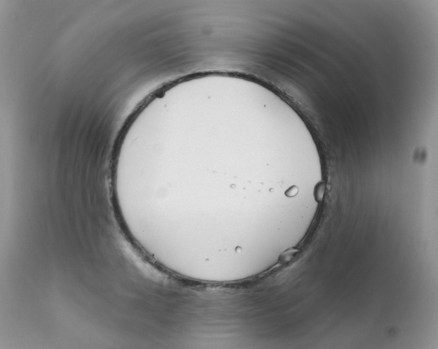 X0000111930942200908241112