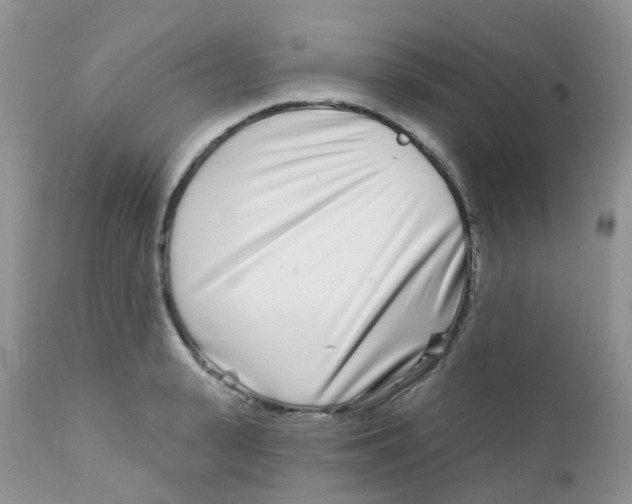 X0000111930943200908241112