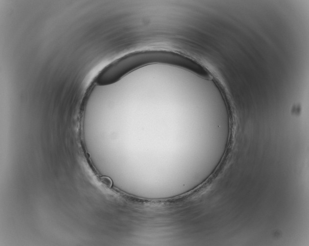 X0000111930944200908241112