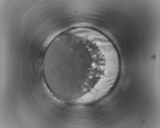 X0000111930945200908241112