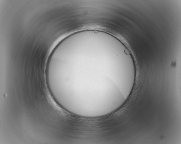 X0000111930947200908241112